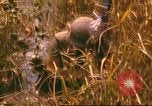 Standbild 60 Infanterie Regiment Rach Kien Vietnam, 1970, aus Sekunde 32 historischem Filmmaterial Videoclip 65675057987