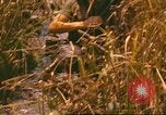 Standbild 60 Infanterie Regiment Rach Kien Vietnam, 1970, aus Sekunde 33 historischem Filmmaterial Videoclip 65675057987