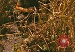 Standbild 60 Infanterie Regiment Rach Kien Vietnam, 1970, aus Sekunde 34 historischem Filmmaterial Videoclip 65675057987