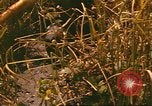Standbild 60 Infanterie Regiment Rach Kien Vietnam, 1970, aus Sekunde 35 historischem Filmmaterial Videoclip 65675057987