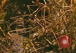 Standbild 60 Infanterie Regiment Rach Kien Vietnam, 1970, aus Sekunde 36 historischem Filmmaterial Videoclip 65675057987