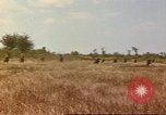 Standbild 60 Infanterie Regiment Rach Kien Vietnam, 1970, aus Sekunde 16 historischem Filmmaterial Videoclip 65675057988