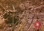 Standbild 60 Infanterie Regiment Rach Kien Vietnam, 1970, aus Sekunde 55 historischem Filmmaterial Videoclip 65675057988