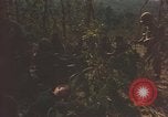 Standbild 101st Airborne Division Südostasien, 1966, aus Sekunde 44 historischem Filmmaterial Videoclip 65675057995