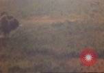 Standbild Luftangriffe Südostasien, 1962, aus Sekunde 11 historischem Filmmaterial Videoclip 65675058007