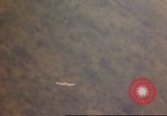 Standbild Luftangriffe Südostasien, 1962, aus Sekunde 16 historischem Filmmaterial Videoclip 65675058007