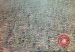 Standbild Luftangriffe Südostasien, 1962, aus Sekunde 19 historischem Filmmaterial Videoclip 65675058008