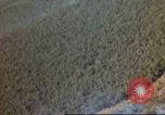 Standbild Luftangriffe Südostasien, 1962, aus Sekunde 58 historischem Filmmaterial Videoclip 65675058008