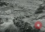 Image attaque allemande 'Union soviétique, 1943, de la seconde 60 séquences d'archives historiques vidéo 65675058012