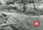 Image Bataille de Stalingrad Stalingrad Russie Union Soviétique, 1943, de la seconde 3 séquences d'archives historiques vidéo 65675058013
