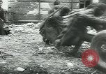 Image Bataille de Stalingrad Stalingrad Russie Union Soviétique, 1943, de la seconde 24 séquences d'archives historiques vidéo 65675058013