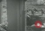Image Bataille de Stalingrad Stalingrad Russie Union Soviétique, 1943, de la seconde 42 séquences d'archives historiques vidéo 65675058013