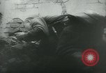 Image Bataille de Stalingrad Stalingrad Russie Union Soviétique, 1943, de la seconde 62 séquences d'archives historiques vidéo 65675058013