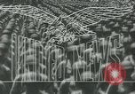 Image of Allied invasion of Germany Germany, 1945, second 16 stock footage video 65675058020