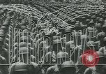 Image of Allied invasion of Germany Germany, 1945, second 17 stock footage video 65675058020