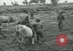 Image of United Service Organizations Italy, 1944, second 54 stock footage video 65675058023