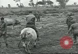 Image of United Service Organizations Italy, 1944, second 55 stock footage video 65675058023