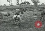 Image of United Service Organizations Italy, 1944, second 56 stock footage video 65675058023