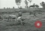 Image of United Service Organizations Italy, 1944, second 57 stock footage video 65675058023