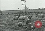 Image of United Service Organizations Italy, 1944, second 60 stock footage video 65675058023