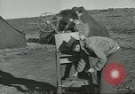 Immagine di Regno Organizzazioni di assistenza Isola di Bougainville Papua Nuova Guinea, 1944, secondo 29 filmato di repertorio 65675058024