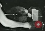 Image of United Service Organizations United States USA, 1944, second 30 stock footage video 65675058025