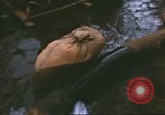 Image of Marines refueling UH-1E Iroquois helicopters Khe Sanh Vietnam, 1968, second 21 stock footage video 65675058028