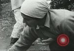 Image sélecteurs orange américain mexicain Farmersville California USA, 1968, de la seconde 39 séquences d'archives historiques vidéo 65675058039