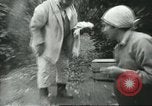 Image sélecteurs orange américain mexicain Farmersville California USA, 1968, de la seconde 47 séquences d'archives historiques vidéo 65675058039