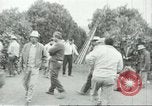 Image sélecteurs orange américain mexicain Farmersville California USA, 1968, de la seconde 4 séquences d'archives historiques vidéo 65675058040