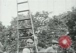 Image sélecteurs orange américain mexicain Farmersville California USA, 1968, de la seconde 12 séquences d'archives historiques vidéo 65675058040