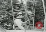 Image sélecteurs orange américain mexicain Farmersville California USA, 1968, de la seconde 19 séquences d'archives historiques vidéo 65675058040