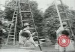 Image sélecteurs orange américain mexicain Farmersville California USA, 1968, de la seconde 20 séquences d'archives historiques vidéo 65675058040