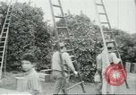 Image sélecteurs orange américain mexicain Farmersville California USA, 1968, de la seconde 21 séquences d'archives historiques vidéo 65675058040