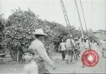 Image sélecteurs orange américain mexicain Farmersville California USA, 1968, de la seconde 24 séquences d'archives historiques vidéo 65675058040
