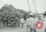 Image sélecteurs orange américain mexicain Farmersville California USA, 1968, de la seconde 25 séquences d'archives historiques vidéo 65675058040