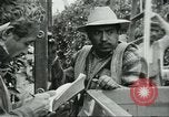 Image sélecteurs orange américain mexicain Farmersville California USA, 1968, de la seconde 31 séquences d'archives historiques vidéo 65675058040