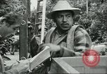 Image sélecteurs orange américain mexicain Farmersville California USA, 1968, de la seconde 33 séquences d'archives historiques vidéo 65675058040