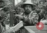 Image sélecteurs orange américain mexicain Farmersville California USA, 1968, de la seconde 34 séquences d'archives historiques vidéo 65675058040