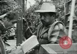 Image sélecteurs orange américain mexicain Farmersville California USA, 1968, de la seconde 36 séquences d'archives historiques vidéo 65675058040