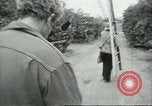 Image sélecteurs orange américain mexicain Farmersville California USA, 1968, de la seconde 50 séquences d'archives historiques vidéo 65675058040