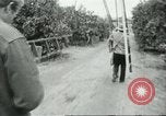 Image sélecteurs orange américain mexicain Farmersville California USA, 1968, de la seconde 51 séquences d'archives historiques vidéo 65675058040