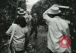 Image sélecteurs orange américain mexicain Farmersville California USA, 1968, de la seconde 58 séquences d'archives historiques vidéo 65675058040
