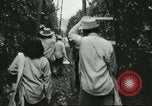 Image sélecteurs orange américain mexicain Farmersville California USA, 1968, de la seconde 59 séquences d'archives historiques vidéo 65675058040