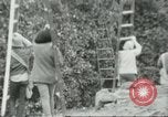 Image sélecteurs orange américain mexicain Farmersville California USA, 1968, de la seconde 11 séquences d'archives historiques vidéo 65675058041