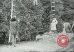 Image sélecteurs orange américain mexicain Farmersville California USA, 1968, de la seconde 12 séquences d'archives historiques vidéo 65675058041