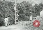Image sélecteurs orange américain mexicain Farmersville California USA, 1968, de la seconde 15 séquences d'archives historiques vidéo 65675058041