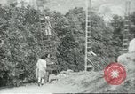 Image sélecteurs orange américain mexicain Farmersville California USA, 1968, de la seconde 18 séquences d'archives historiques vidéo 65675058041
