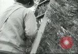 Image sélecteurs orange américain mexicain Farmersville California USA, 1968, de la seconde 43 séquences d'archives historiques vidéo 65675058041
