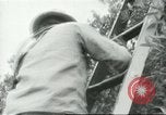 Image sélecteurs orange américain mexicain Farmersville California USA, 1968, de la seconde 44 séquences d'archives historiques vidéo 65675058041